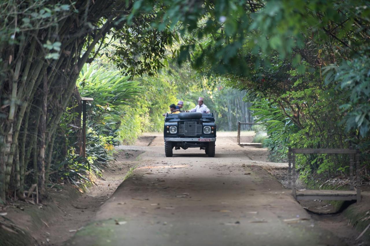Tiger Tops Tharu Lodge Csitvan Kültér fotó