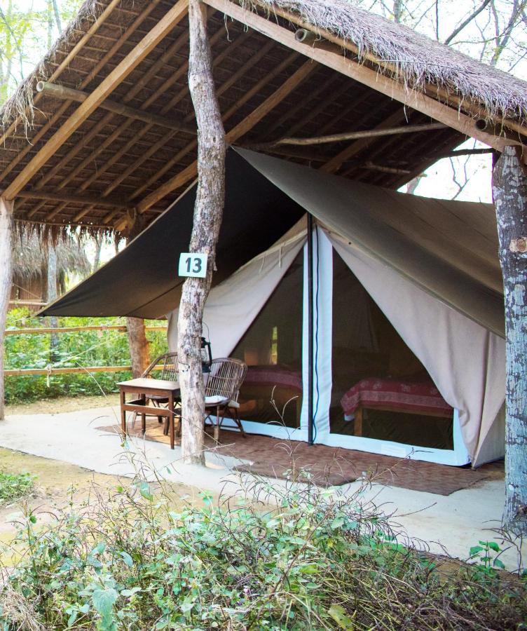Tiger Tops Tharu Lodge Csitvan Kültér fotó