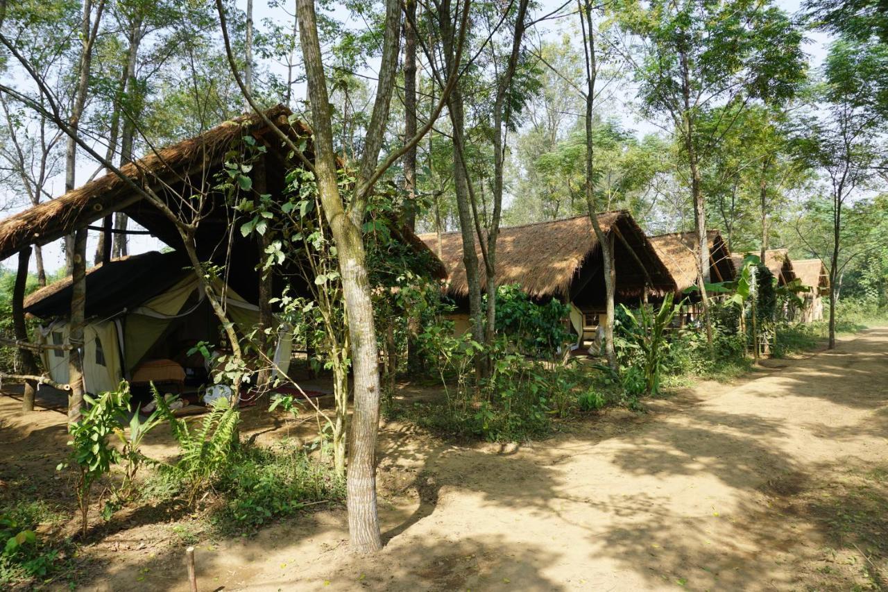 Tiger Tops Tharu Lodge Csitvan Kültér fotó