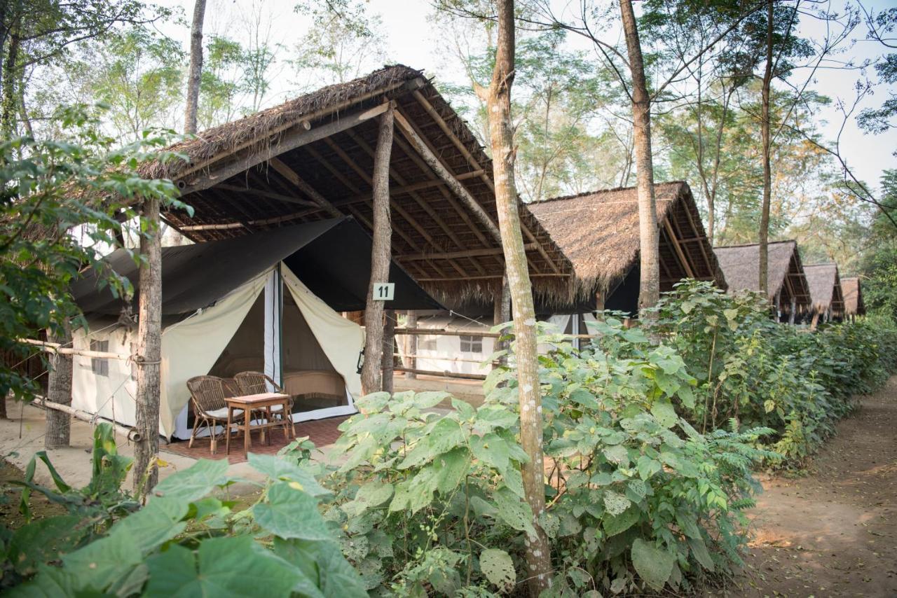 Tiger Tops Tharu Lodge Csitvan Kültér fotó