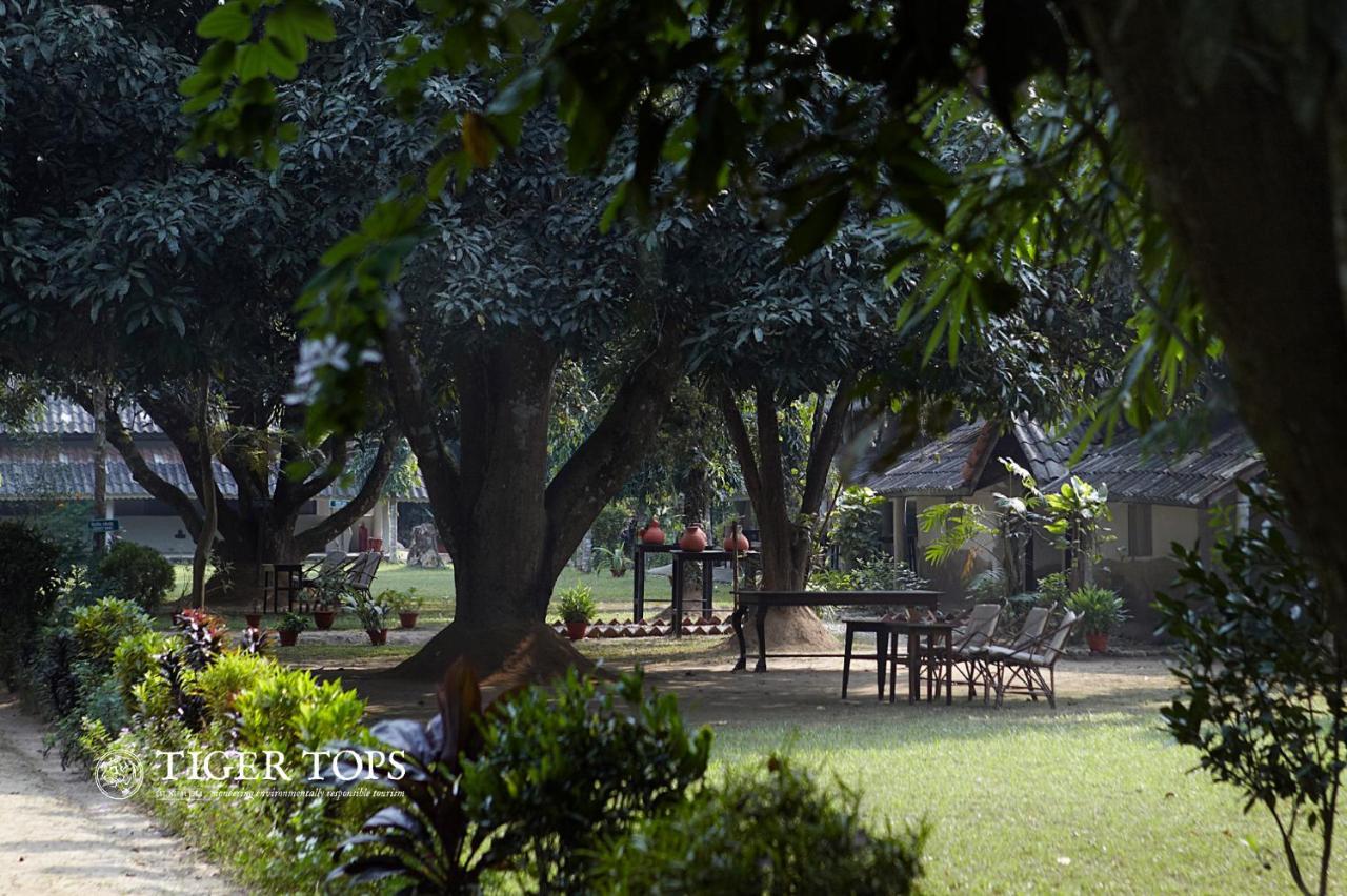 Tiger Tops Tharu Lodge Csitvan Kültér fotó