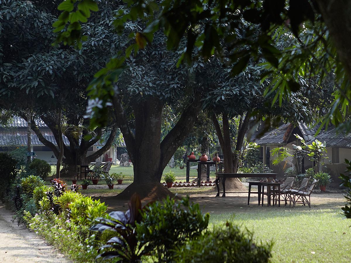 Tiger Tops Tharu Lodge Csitvan Kültér fotó
