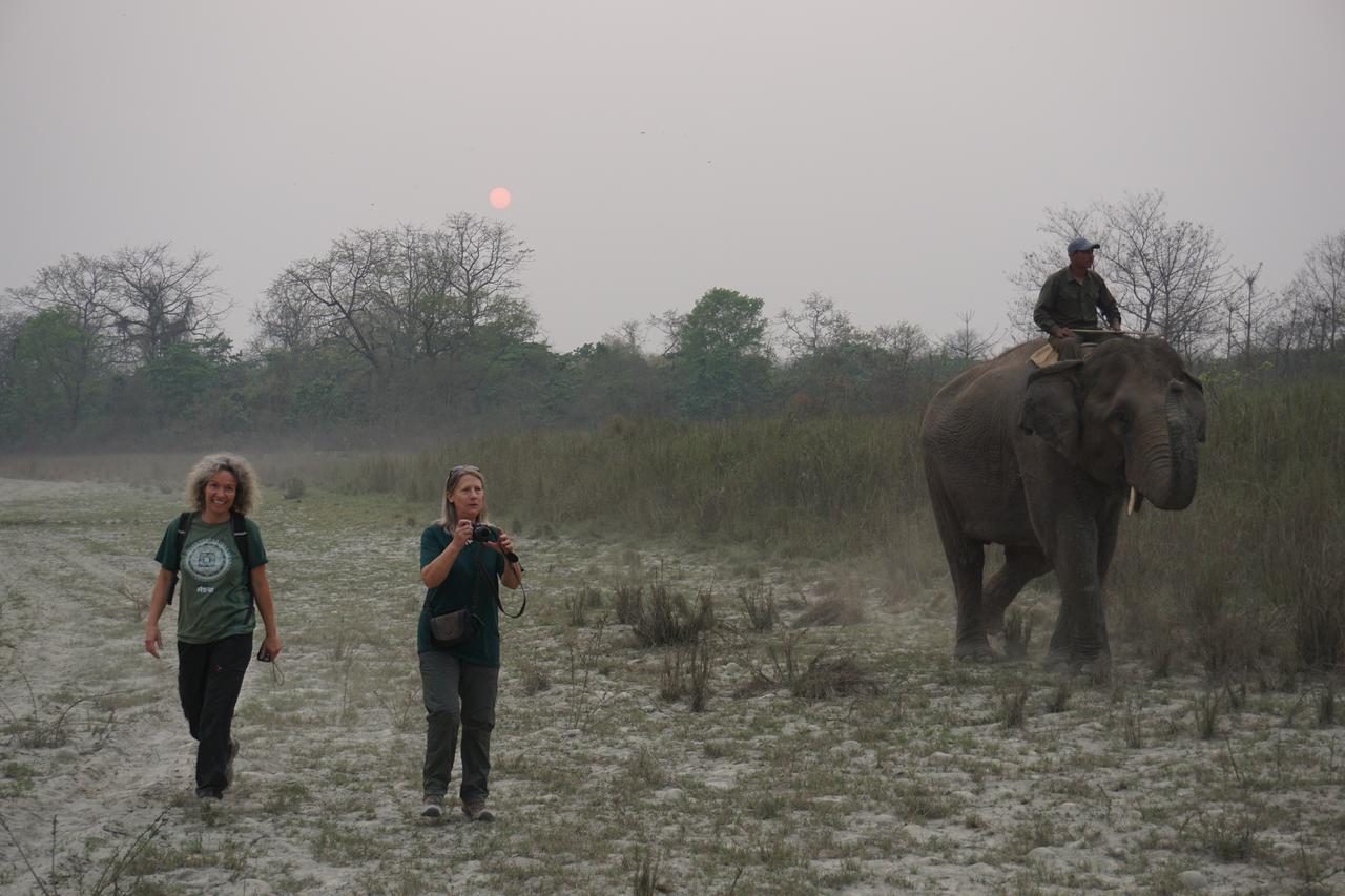 Tiger Tops Tharu Lodge Csitvan Kültér fotó