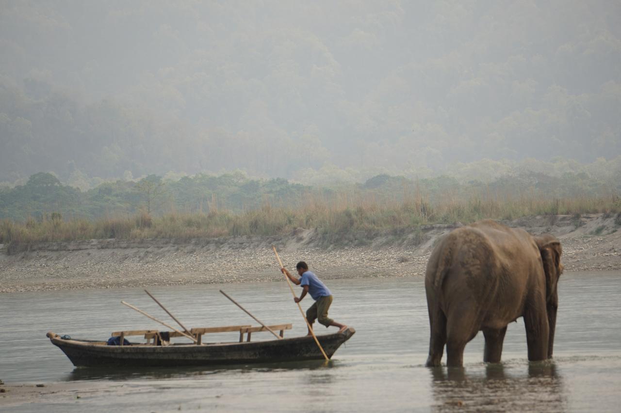 Tiger Tops Tharu Lodge Csitvan Kültér fotó