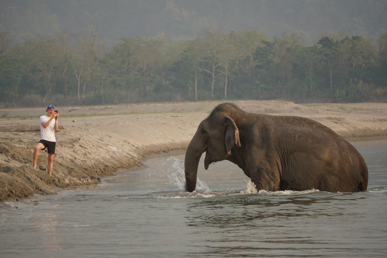 Tiger Tops Tharu Lodge Csitvan Kültér fotó