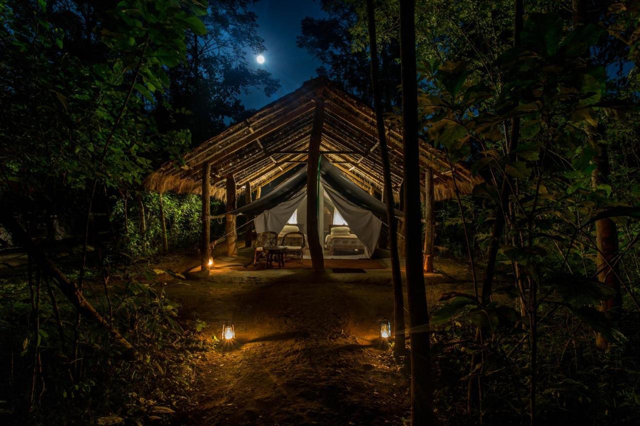 Tiger Tops Tharu Lodge Csitvan Kültér fotó