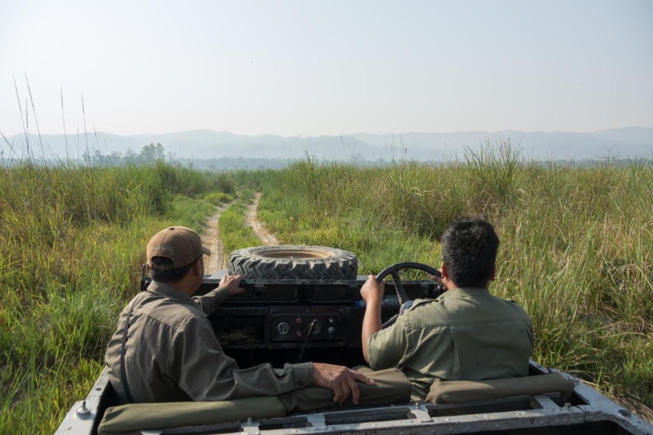 Tiger Tops Tharu Lodge Csitvan Kültér fotó