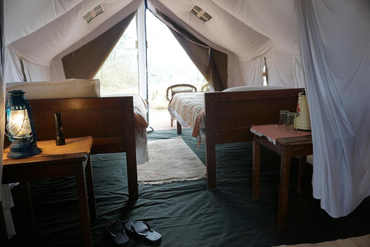 Tiger Tops Tharu Lodge Csitvan Kültér fotó