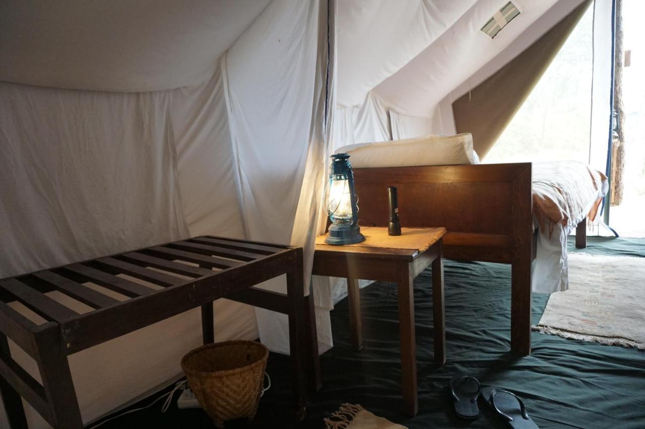 Tiger Tops Tharu Lodge Csitvan Kültér fotó